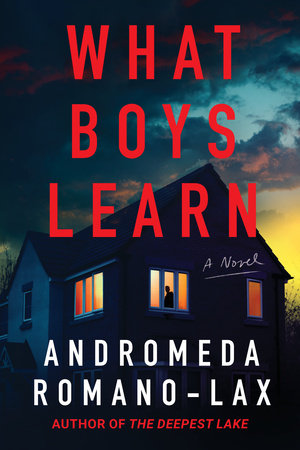 What Boys Learn by Andromeda Romano-Lax