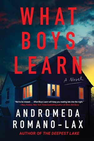 What Boys Learn by Andromeda Romano-Lax
