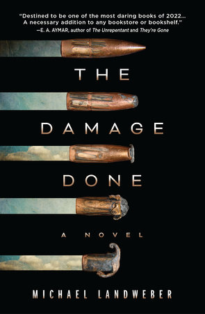 The Damage Done by Michael Landweber