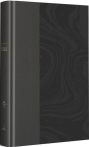 RVR 1960 Biblia de estudio Dake, tamaño grande, Tapa dura, Negra / Spanish RVR 1960 Dake Study Bible, Large Size, Black Hardcover
