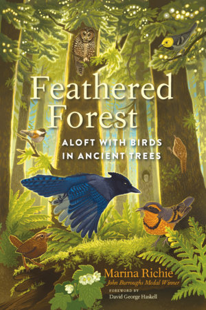 Feathered Forest by Marina Richie