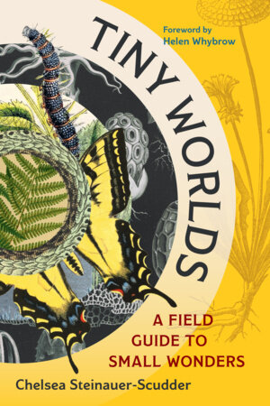 Tiny Worlds by Chelsea Steinauer-Scudder