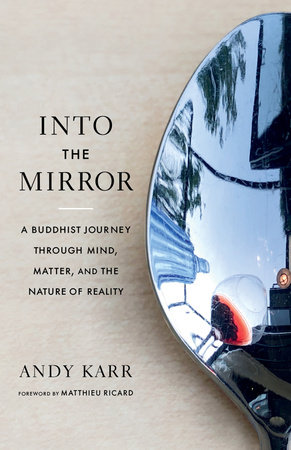 Into the Mirror by Andy Karr