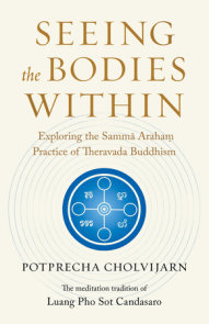 Seeing the Bodies Within