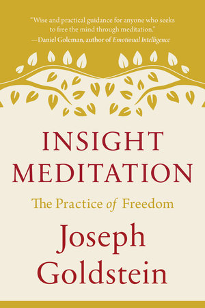 Insight Meditation by Joseph Goldstein