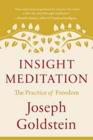 Insight Meditation