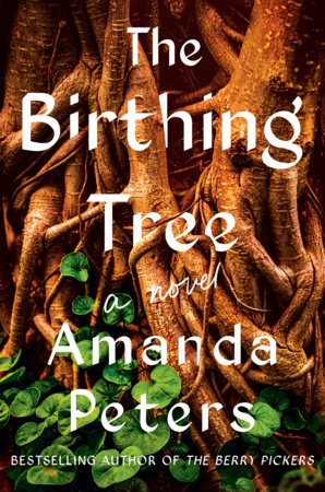 The Birthing Tree by Amanda Peters