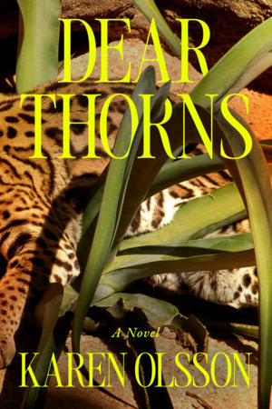 Dear Thorns by Karen Olsson