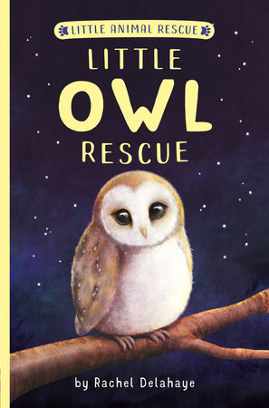 Little Owl Rescue by Rachel Delahaye