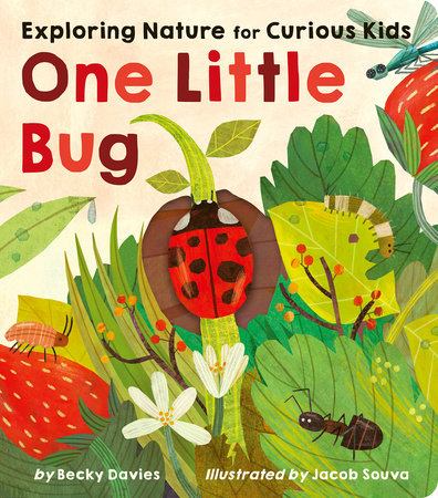 One Little Bug by Becky Davies