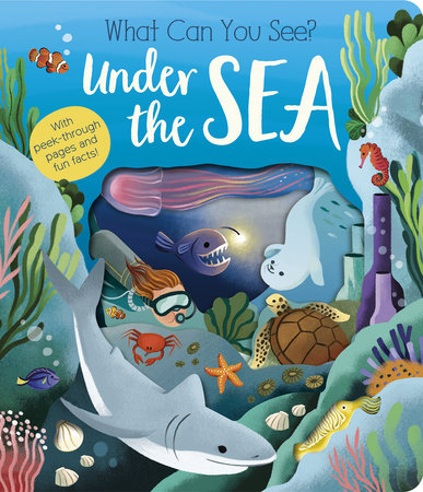 What Can You See? Under the Sea by Molly Littleboy