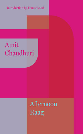 Afternoon Raag by Amit Chaudhuri