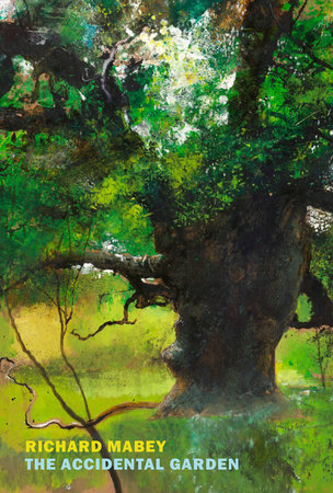 The Accidental Garden by Richard Mabey