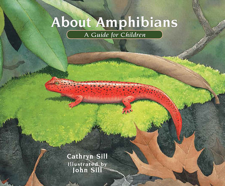 About Amphibians by by Cathryn Sill; illustrated by John Sill