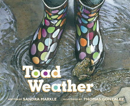 Toad Weather by Sandra Markle