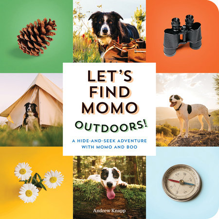 Let's Find Momo Outdoors! by Andrew Knapp