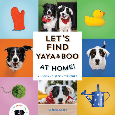 Let's Find Yaya and Boo at Home! by Andrew Knapp