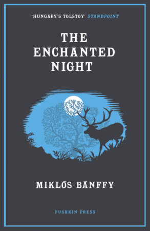 The Enchanted Night by Miklos Banffy