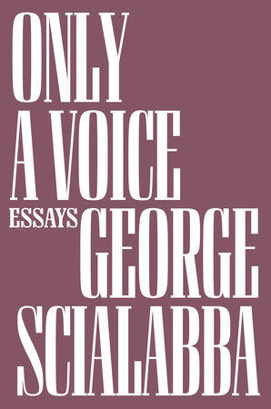 Only a Voice by George Scialabba