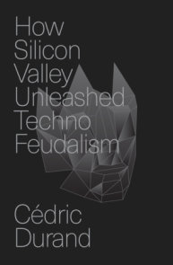 How Silicon Valley Unleashed Techno-Feudalism