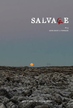 Salvage #13 by Salvage