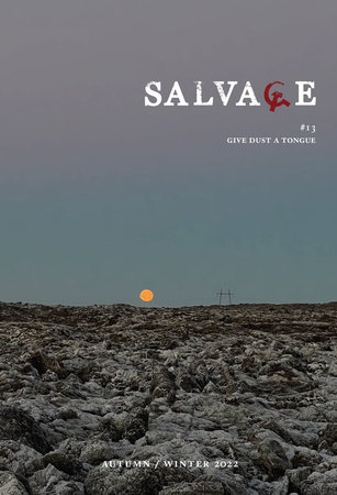 Salvage #13 by Salvage