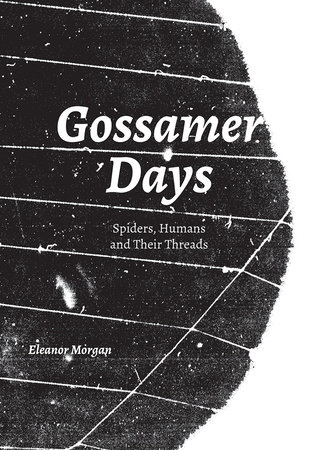 Gossamer Days by Eleanor Morgan