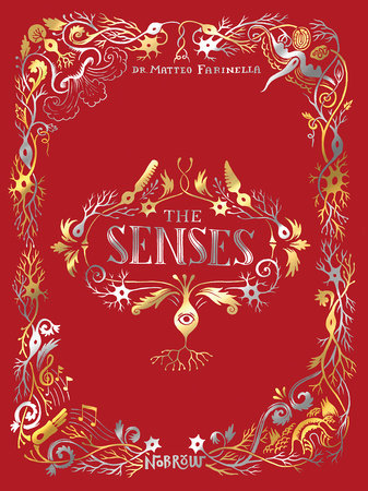 The Senses by Matteo Farinella