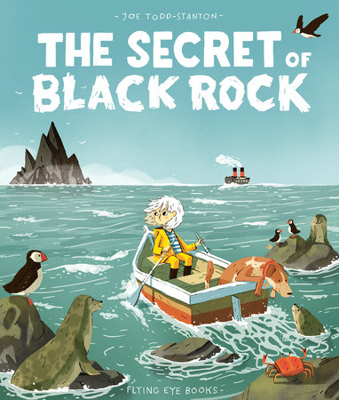The Secret Of Black Rock by Joe Todd-Stanton