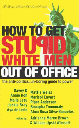 How to Get Stupid White Men Out of Office by 