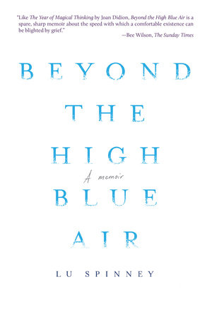 Beyond the High Blue Air by Lu Spinney