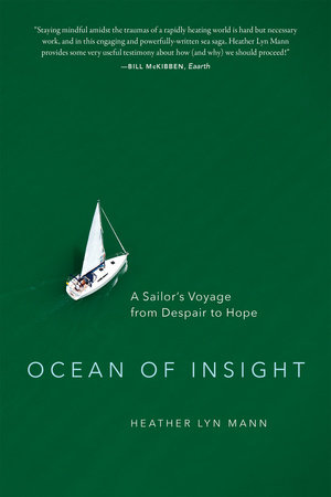 Ocean of Insight by Heather Lyn Mann
