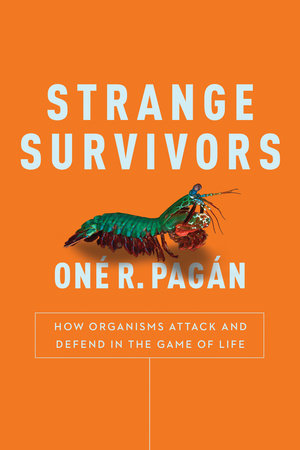 Strange Survivors by One R. Pagan