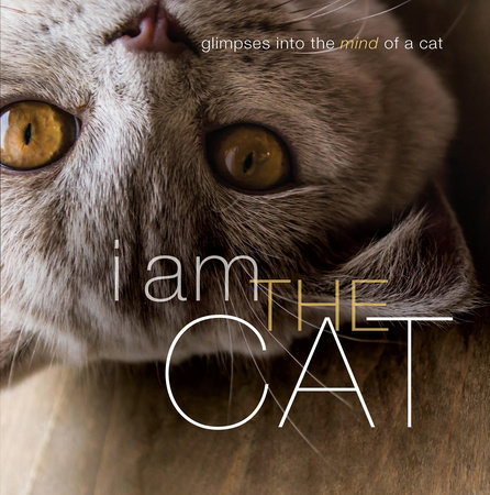 I Am the Cat by Liz Abeler Blaylock