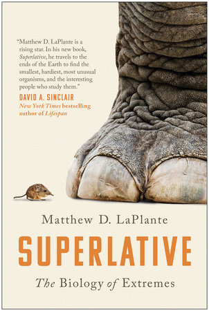Superlative by MATTHEW D. LAPLANTE