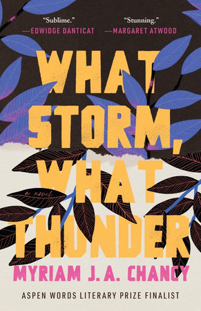 What Storm, What Thunder by Myriam Ja Chancy