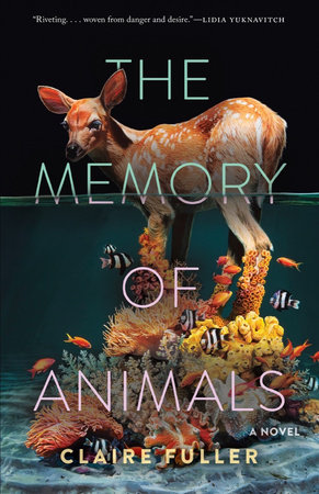 The Memory of Animals by Claire Fuller