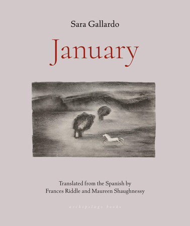 January by Sara Gallardo