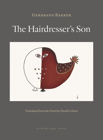 The Hairdresser’s Son by Gerbrand Bakker