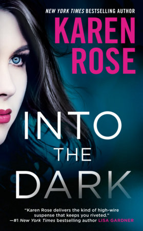 Into the Dark by Karen Rose