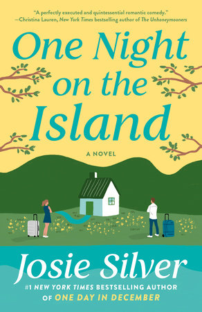 One Night on the Island Book Cover Picture