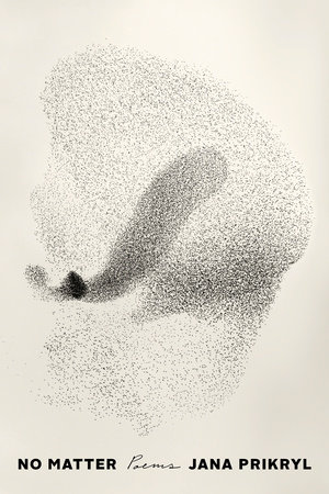 No Matter by Jana Prikryl