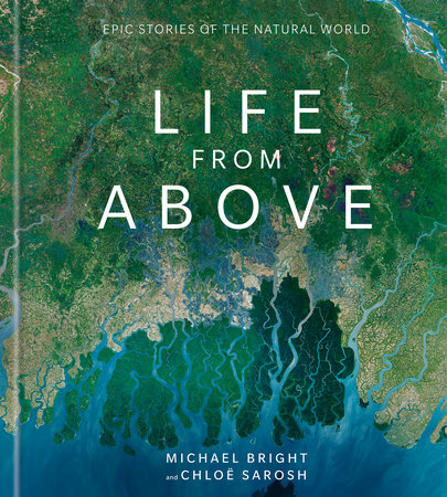 Life from Above by Michael Bright and Chloe Sarosh