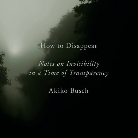 How to Disappear by Akiko Busch