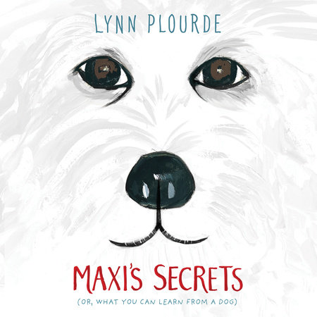 Maxi's Secrets by Lynn Plourde