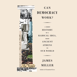 Can Democracy Work?