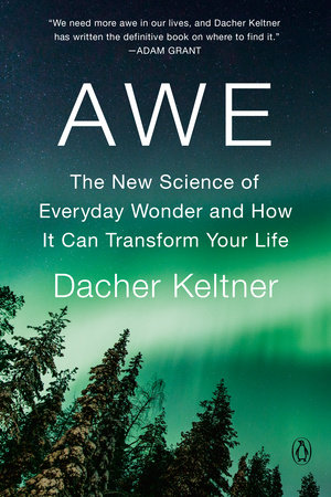 Awe by Dacher Keltner