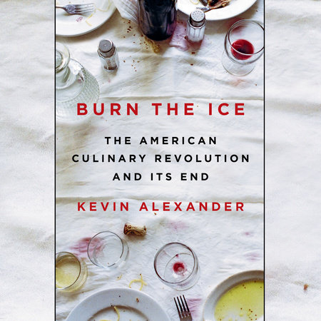 Burn the Ice by Kevin Alexander