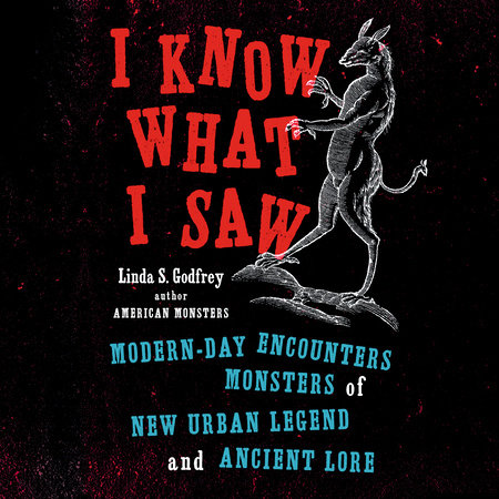 I Know What I Saw by Linda S Godfrey