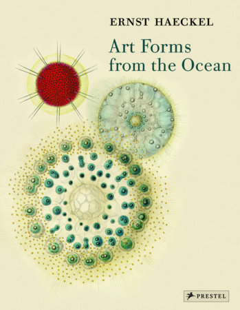 Art Forms from the Ocean by Olaf Breidbach